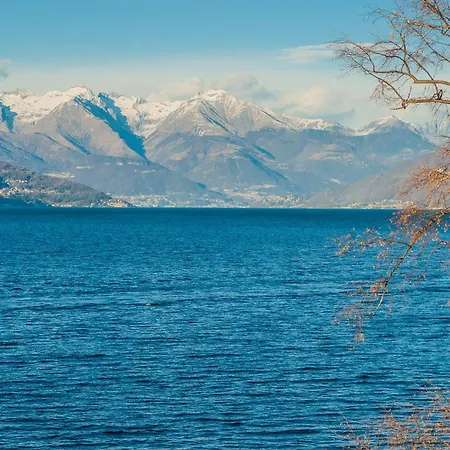 Domus Elena Lakeview *